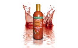 Detangling Conditioning Shampoo sunflower & coconut