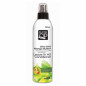 Olive Oil & Mango Butter Leave-In H2 Conditioner