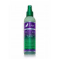 Hair Type 4 Leaf Clover Leave In Spray The Mane Choice