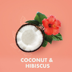 shea-moisture-coconut-hibiscus-gamme-