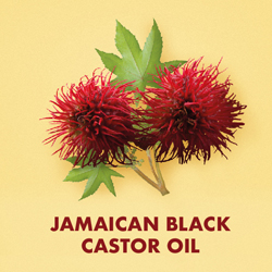 shea-moisture-jamaican-black-castor-oil-JBCO